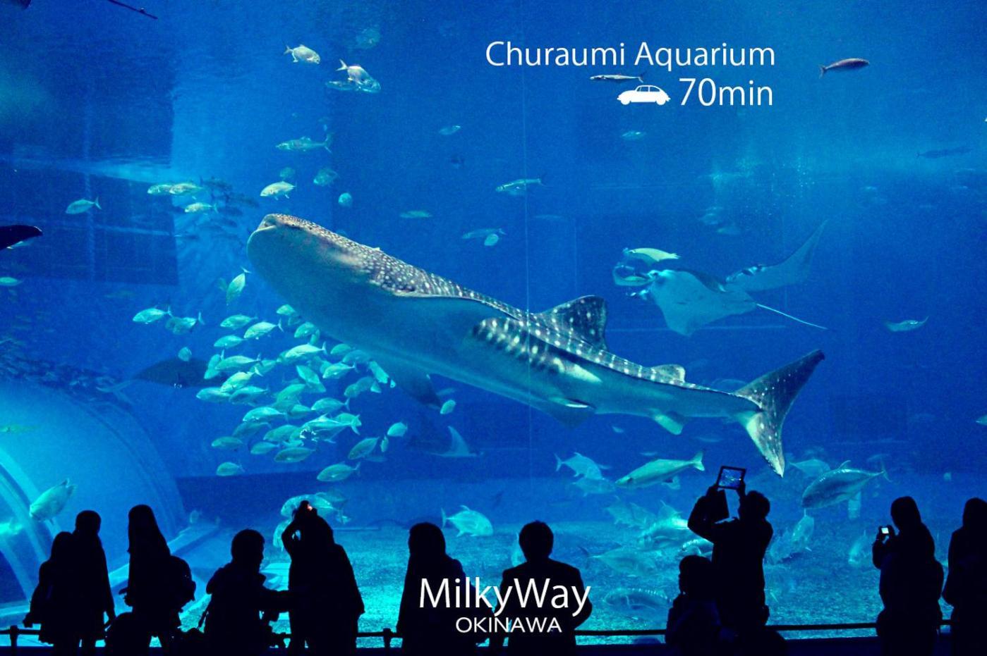 Okinawa Milky Way Villa Yomitan Exterior photo